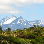 Tangariro National Park